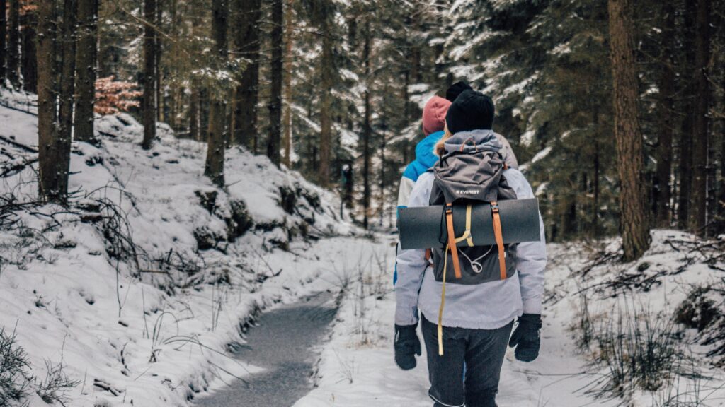 Explore the beauty of a snowy forest on a winter hiking adventure with friends.